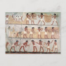 Buscar siembra postales Agricultura