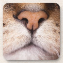 Buscar boca animal posavasos Ninguna gente
