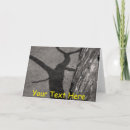 Buscar tronco de árbol tarjetas 8 º tarjeta
