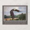Buscar eagle Cristiano