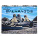 Buscar pingüinos calendarios Vida silvestre