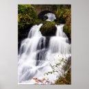 Buscar cascada del bosque posters Verde