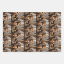 Buscar oso papel de regalo Fiestas