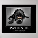 Buscar rottweiler arte Animal