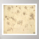 Buscar dibujo de da vinci posters Estudio