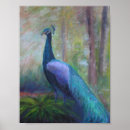 Buscar pájaros exóticos posters Para ella