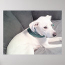 Buscar san patricio posters Cumpleaños