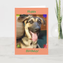 Buscar perro de pastor tarjetas Saludo