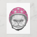 Buscar del gato persa postales Divertido