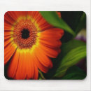 Buscar gerbera alfombrillas de raton Primavera