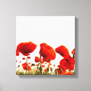 Buscar amapolas rojas lienzos Rojo