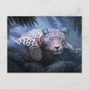 Buscar animales de la selva postales Leopardo