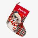 Buscar pastor calcetines navideños Animales