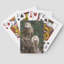 Buscar lobos barajas de cartas Salvaje