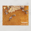 Buscar colmena postales abejas