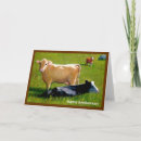 Buscar vacas tarjetas Granja