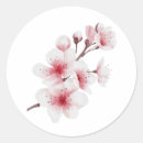 Buscar okinawa pegatinas Japonés