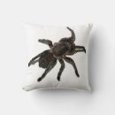 Buscar tarantula cojines Divertido