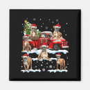 Buscar camionero imanes Para