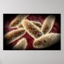 Buscar célula posters Ciencia