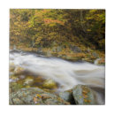 Buscar monjas azulejos Jerry