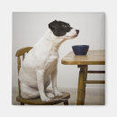 Buscar cuenco imanes Dentro