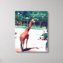 Buscar zoo lienzos Jirafa