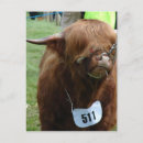 Buscar inglesas postales Cotland