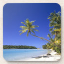 Buscar cook posavasos Tropical