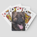 Buscar alsatian Alemán