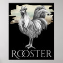 Buscar el gallo posters Acuarela