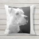 Buscar amstaff cojines Amante del perro