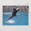 Buscar asesino postales Marino