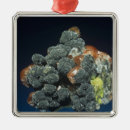 Buscar ciencias naturales adornos Recorte