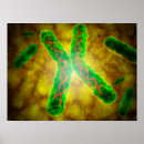Buscar microbiología posters Dna