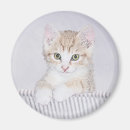 Buscar tabby imanes Adorable