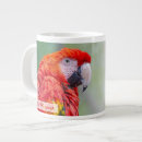 Buscar macaw tazas Mugre