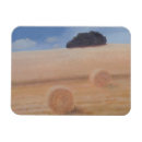 Buscar bala imanes Cosecha