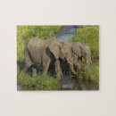 Buscar elefante africano puzzles Kenia