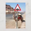 Buscar wadi rum postales Bedouin