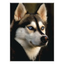 Buscar malamute fotografía Animal
