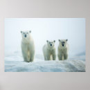 Buscar animales salvajes posters Cachorro