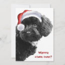 Buscar dog party invitaciones General y unisex