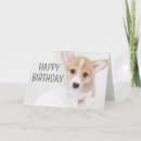 Buscar isabel tarjetas Pembroke welsh corgi