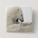 Buscar enganches chapas Animal