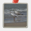 Buscar gaviotas adornos Costa