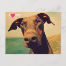 Buscar doberman postales Divertido