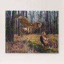 Buscar halcones puzzles Naturaleza