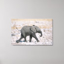 Buscar namibia arte Roca