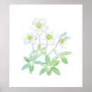 Buscar niger posters Floral